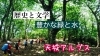 「伊豆はいいとこ🥰」