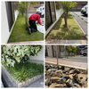 芝生や植栽のメンテナンス😉「ベンリー福山東🌟物件管理😊植栽のメンテナンス、砂利入れ✨️」