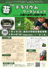 「はじめての自然あそび！ 苔テラリウムづくり体験 ワンコインで楽しめる🌿子ども向けワークショップ！！」