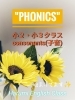 「【英語レッスン、新規ご入会大歓迎♪】発音と読み書きの基礎！重要な小学生のフォニックスレッスン！」
