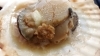 「さるふつまるごと館は、ふらりと立ち寄るにもぴったりです！」