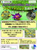 「【事前予約・先着35名】水元公園【アサザ・オニバスをめぐるガイドツアー】夏の水辺の神秘に触れる！東京都の天然記念物オニバス［2025年7月21日（月祝）10時〜11時・都立水元公園水辺の生きもの館前］」