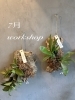 天然コルク板に植物をつけよう「7月workshopのご案内」