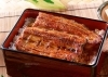 うな重「ふっくら焼きたて！お手頃うな丼がショッパー桜川に登場」