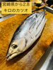 カツオのお刺身♪炙りも美味しいよ「宮崎から・2.8キロのカツオ入荷！初夏ならではの旬をお届けします」