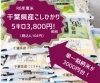 あいる　お米　15キロ あきたこまち 米 お米 15kg （5kg×3袋） 秋田県産 白米 精米