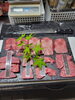 「1人焼肉　舞鶴　本日のお勧め　」