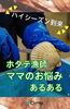 「【掃除屋クローバー】家事代行のご相談承っております」