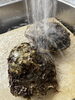 岩牡蠣、注文を頂いてから剥きます「岩牡蠣入荷‼️ 『新潟県村上市で家族でおしゃれ隠れ家ランチ、村上牛、岩のりおにぎり、ご当地グルメ、女子会、飲み放題、ディナー、ガレット、グリル料理デイズ』」