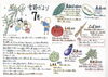 「🌿夏の体調管理は「食養生」から！ 7月におすすめの食材と漢方的な知恵をご紹介」