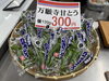 「初夏の味覚！万願寺甘とうを店頭販売中です」