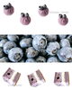 「奥州市産ブルーベリーのBlueberry　Sweet 　🫐🫐🫐🫐🫐🫐」