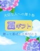 「夏ギフト🌻大切な人への贈り物に　【岡谷市のおすすめ海苔×お茶専門店】」