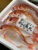 「岩船港直売所本日営業致します」