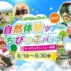 【夏休みイベント】ちびっこパック体験ツアー＜2025年8月1日～8月30日開催＞