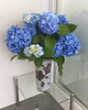 「紫陽花を頂きました(o^^o)」