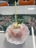 誕生日ケーキ「27日のお誕生日🎂」