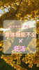 「黄体機能不全×妊活」