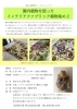 「園内植物を使ったインテリアファブリック植物染め2」