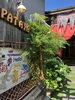 好きなデザインのコラージュ「屋外に新しい手作り看板＆アートポスターが登場！パタヤの外観がさらに賑やかに」