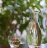日本酒🍶「涼を感じる一杯🌿夏にぴったりな日本酒のご案内🍶」