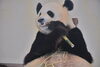 「【新入社員が体験！】家族との思い出づくりにも大活躍♪福利厚生で行く“海の見える宿”」