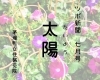 ツボ新聞7月号「太陽」片頭痛を感じたら使うツボ「【茅場町駅徒歩1分】ツボ新聞7月号「太陽」片頭痛を感じたら使うツボ」