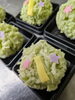 「七夕上生菓子」