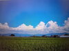 「令和７年７月１日（火）　ほっこりatホーム星田北　🌞夏🌞」