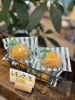 ストライプが可愛い!フクヤさんのレモンケーキ「フクヤさんの有名レモンケーキ、夏らしいストライプパッケージで登場!」