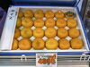 日頃お世話になっている方へ「夏のごあいさつにフルーツを贈りませんか☺️　枚方ビオルネ地下1階　新鮮果実 日野屋」