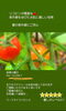 素敵なご縁になりますように…🌹✧︎*。「夏の光線「紫外線」へ潤いを…🍅がおすすめ🤍🌿旬を食し美容・健康向上🤍🌿夏バテ予防【福島市のヨガスタジオ/都度払い/プライベートレッスンあり】」