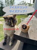 いつものサイズじゃ物足りない！「暑さに負けるな❗️アイスドリンクサイズアップキャンペーン🥤【岡山市中区国府市場　冷めても美味しい自家焙煎　珈琲屋まるこ】」