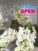 「11時OPEN👓☀️👓」