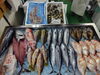 「📣本日入荷のお魚情報🐟」