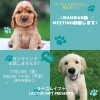 WANWAN婚　MEETING「【第4回 WANWAN婚　MEETING オンライン開催のお知らせ】」