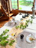 ６月のお稽古の設えです✨「【テーブル茶道教室 花水木】７月の体験レッスン募集中✨」