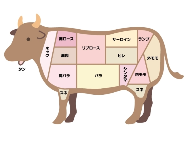 どのお肉がお好きですか?自分は「ハラミ」です。「いつ食べても美味しい焼肉。 自分はモツ系が好きですが、皆さんはどの部位がお好きですか?」