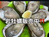 「岩牡蠣販売中‼️」