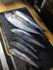 青魚「なめろう」