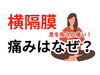 「横隔膜が痛い【松江・出雲・米子・整体・根本改善】」