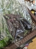 新鮮無農薬なす🍆「新鮮無農薬野菜が激安です‼️」