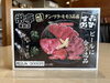 「【栄亭 舞鶴店】今月のおすすめ盛り🥩」