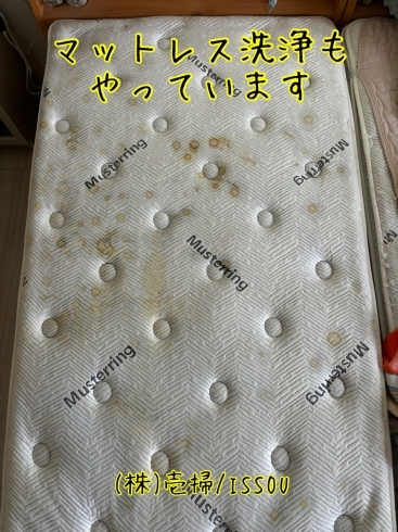 マットレス洗浄前「買い替える前にご相談を!」
