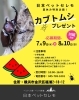 「＼夏休み特別企画／【カブトムシプレゼント！！】小学生☆30組限定」