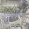 スタッフ募集
