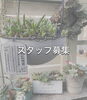「スタッフ募集」