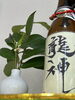 「吉兆花」