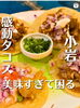「江戸川区で最新発見！本格タコスが楽しめるメキシカングルメをご紹介　　★小岩で本格タコスが食べられるお店★」