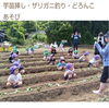 「年長組のおともだちで泥んこ遊びをしました😀」